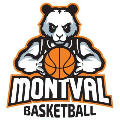 CHATEAU DU LOIR C.O.C. BASKET