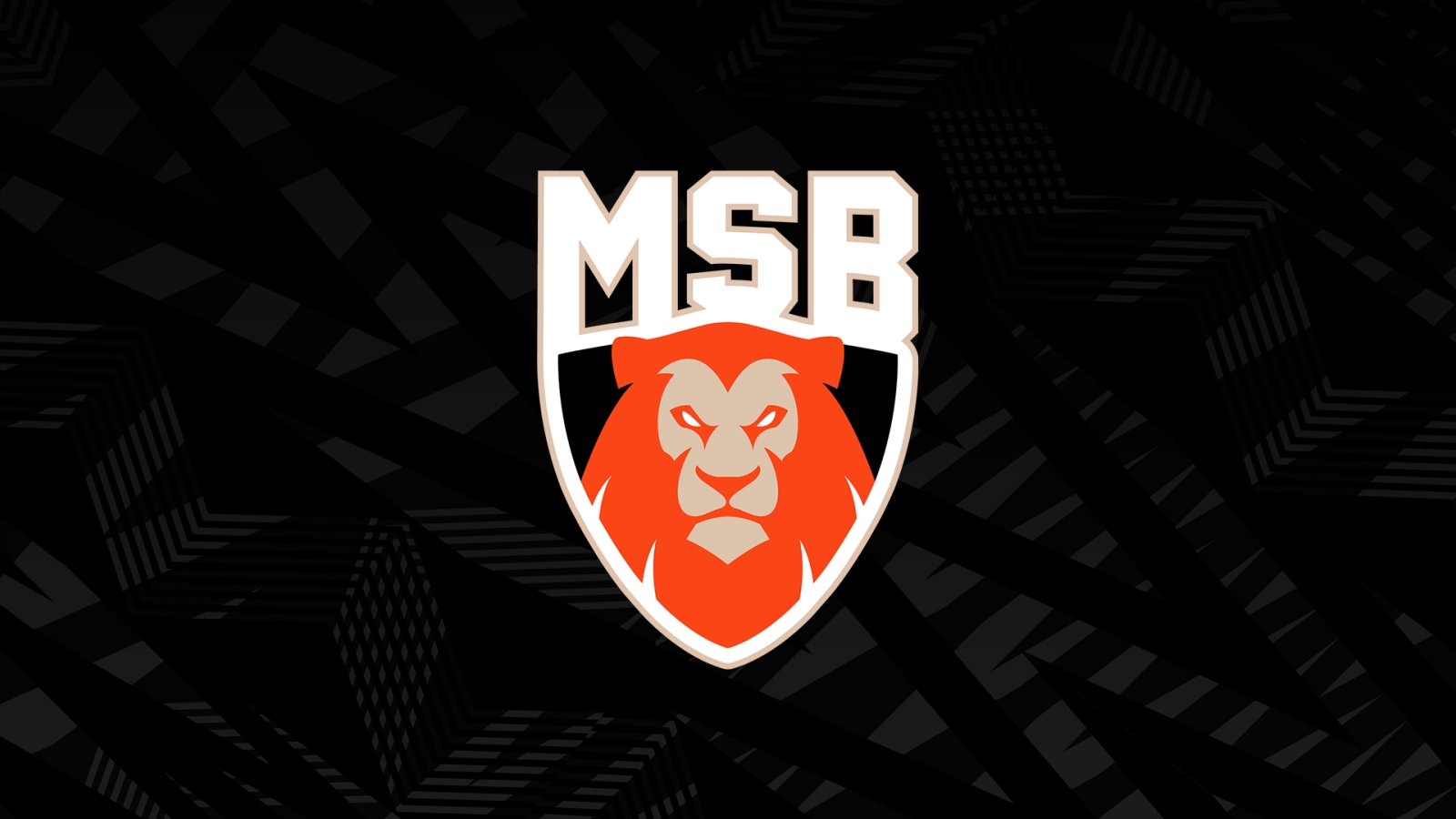 Offre MSB