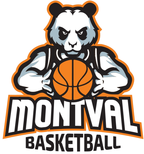 Logo CHATEAU DU LOIR C.O.C. BASKET
